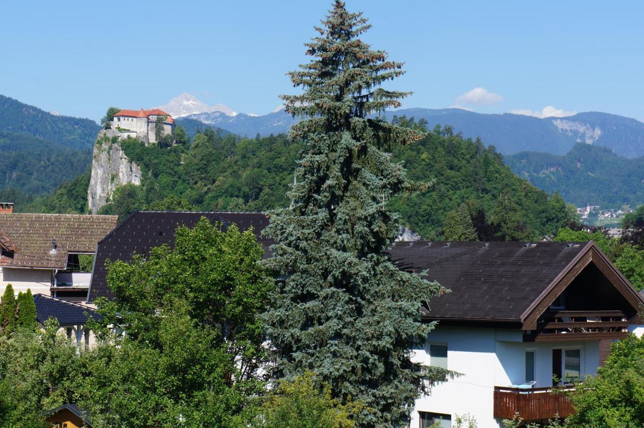 Apartma Tanya Bled Exterior photo